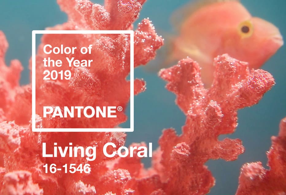 We love that... PANTONE 16-1546 Living Coral,  a cor do ano!